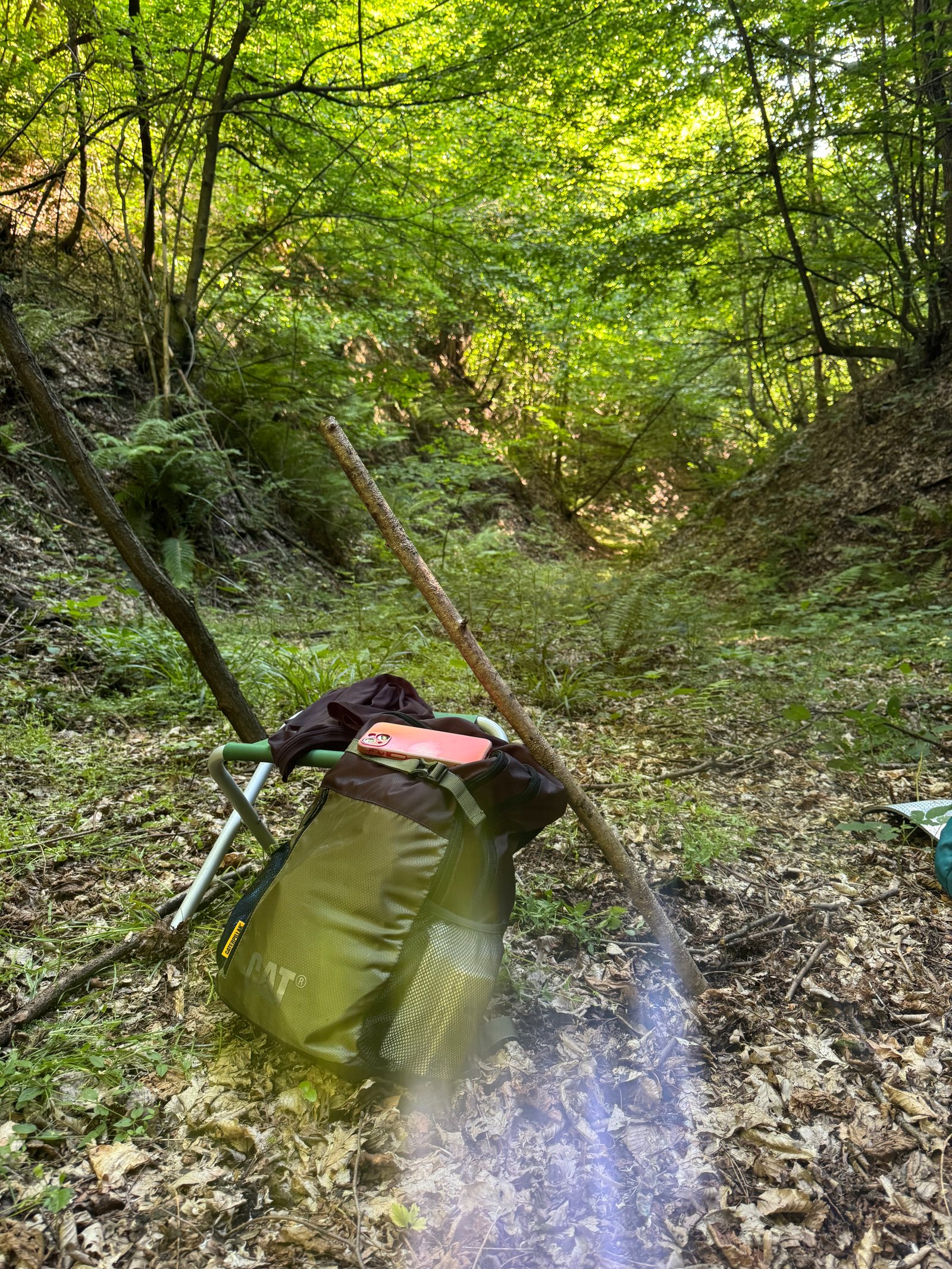 CORIDORUL VERDE - silvoterapie într-o veche albie de rău, la poalele Dealurilor Făgetului - 24 Mai, 2026