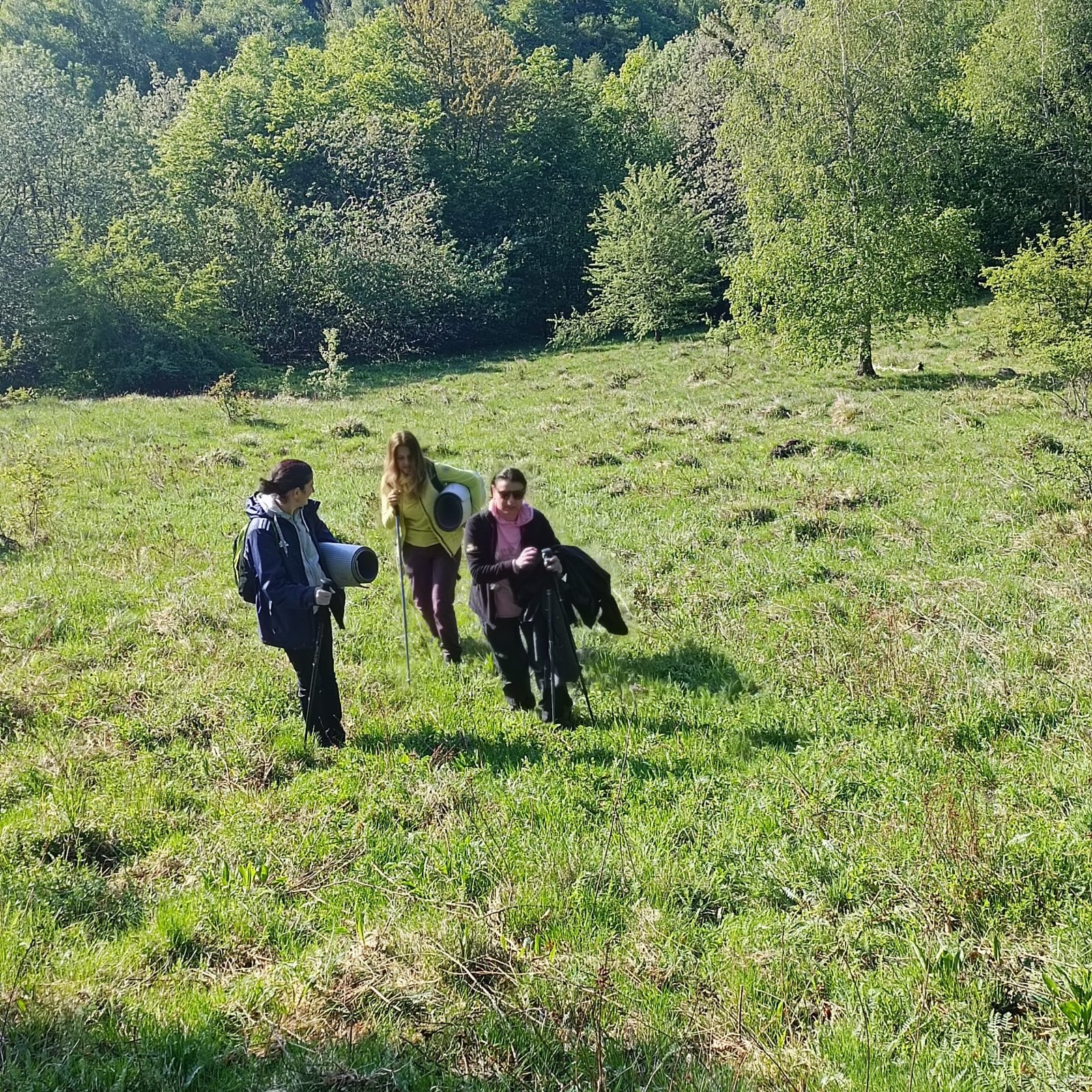 Silvoterapie în Pădurea de Argint din Ținutul Sǎcǎrâmbului