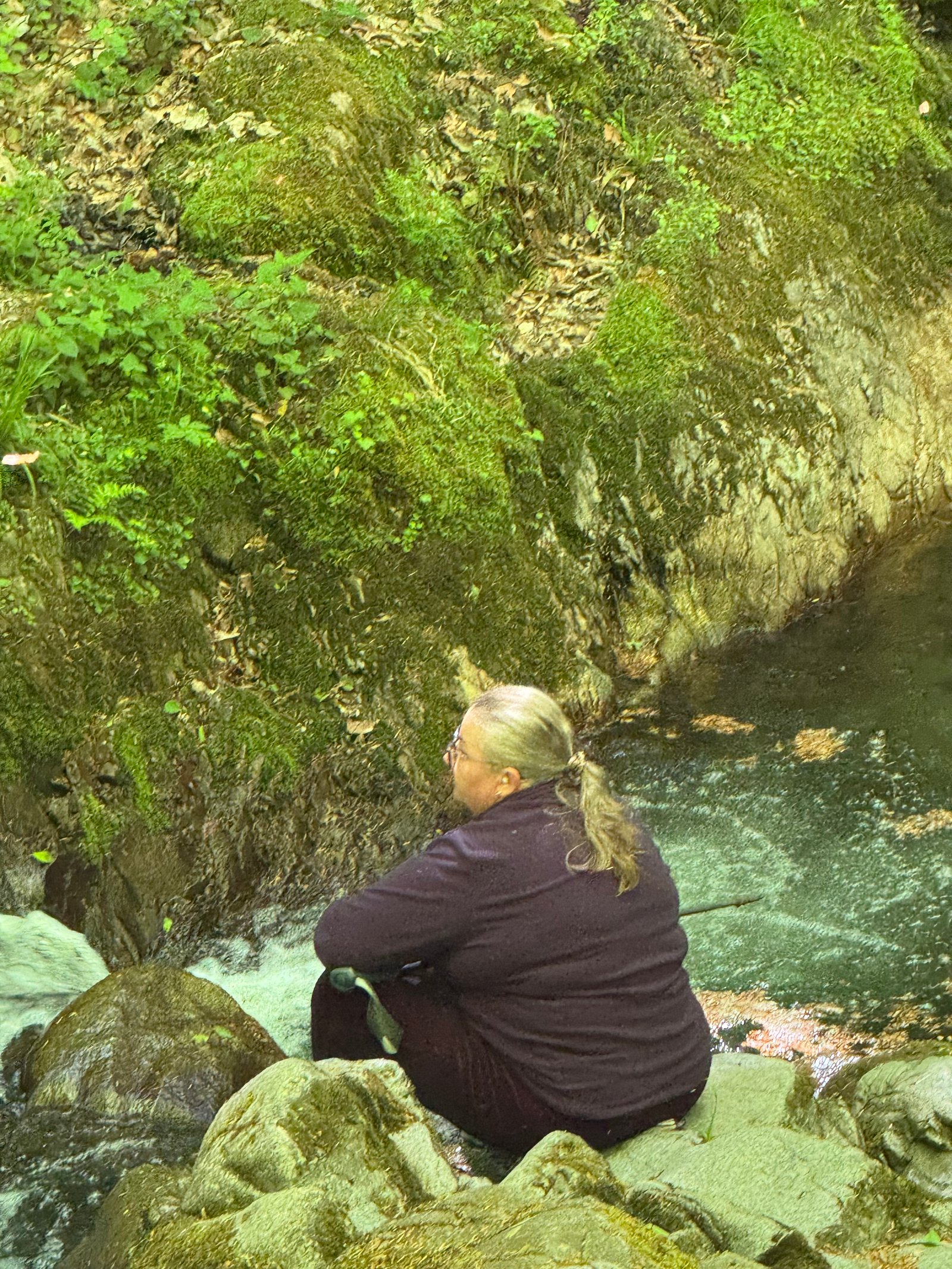DIALOGUL DINTRE APE - Cascada Cornet