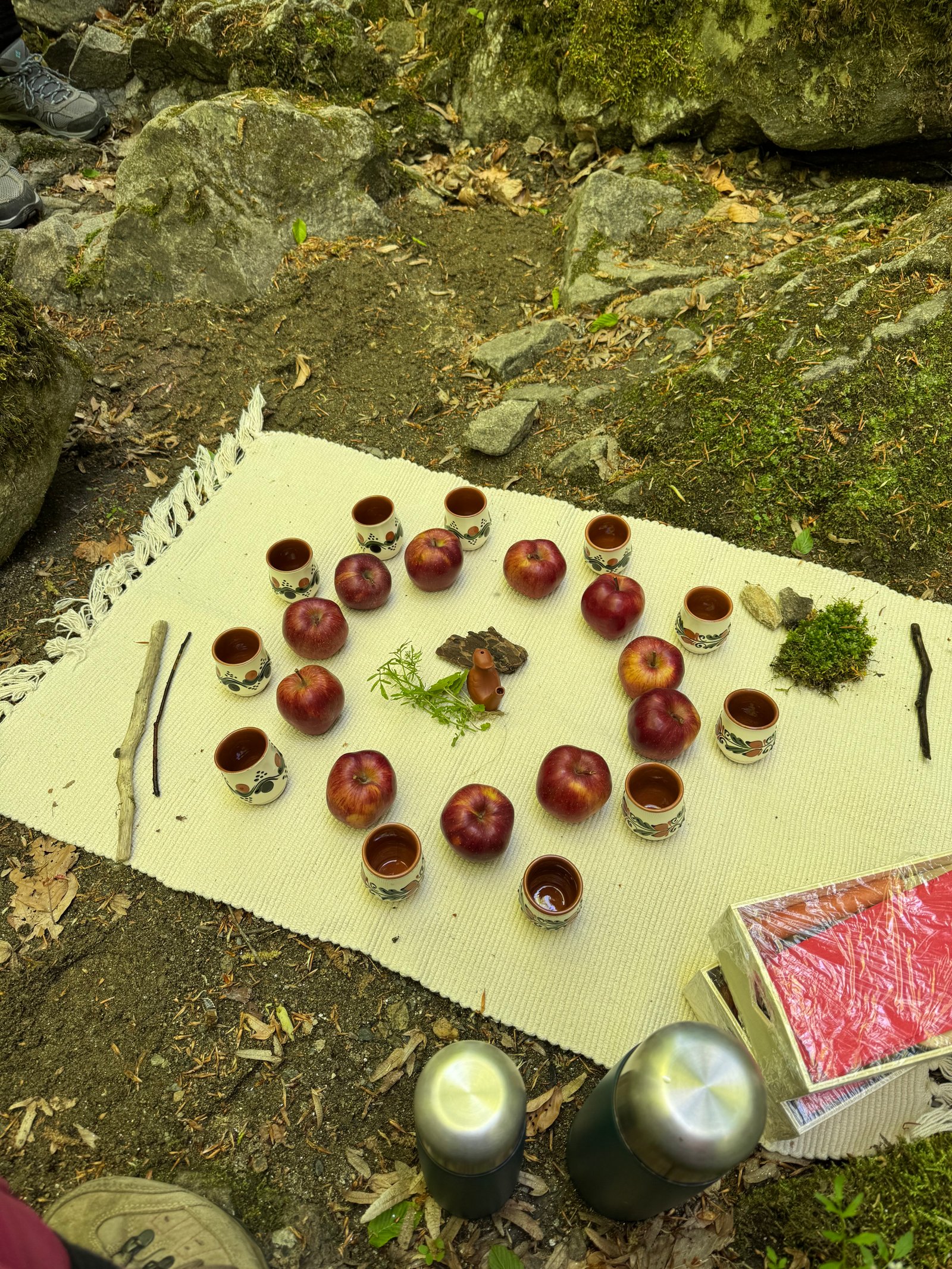 DIALOGUL DINTRE APE - Cascada Cornet
