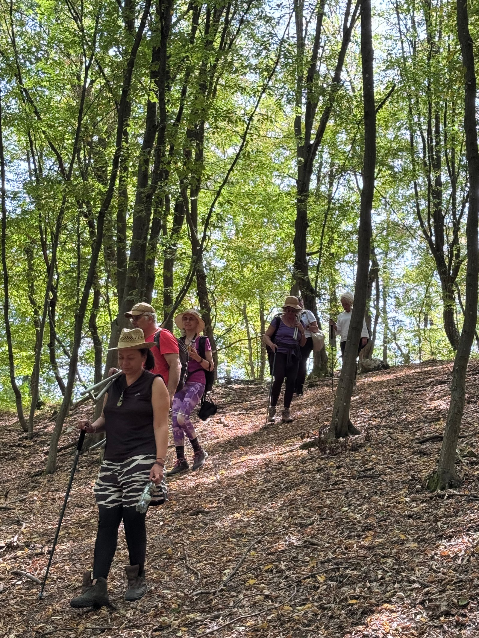 Retreat GLOD 28-30 AUG 2026;